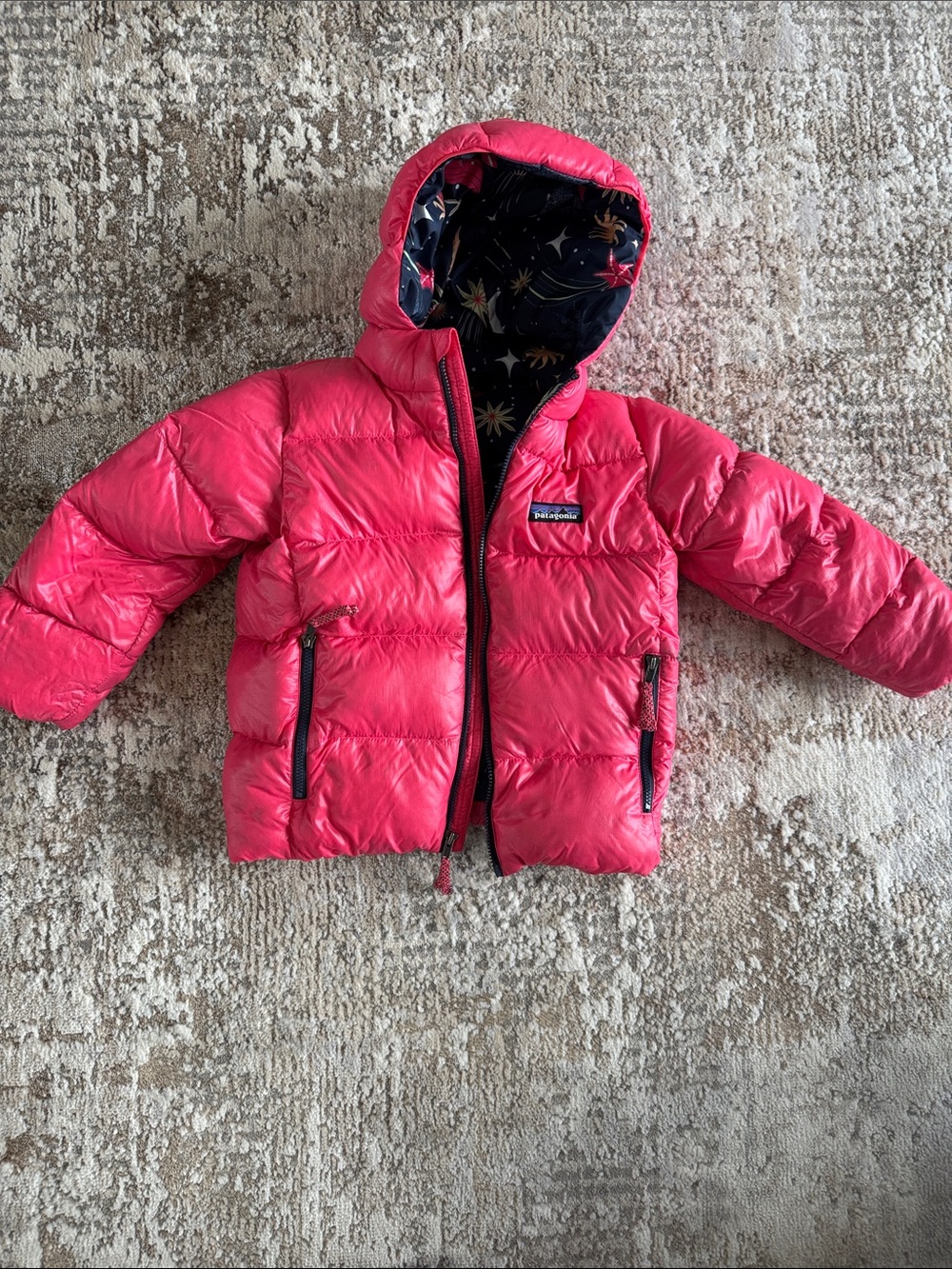 Patagonia Baby Hi Loft Down Sweater Hoody - 4T
